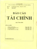 Báo cáo tài chính công ty mẹ quý 1 năm 2010 - Công ty Cổ phần Công nghệ Mạng và Truyền thông