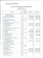 Báo cáo tài chính hợp nhất quý 3 năm 2013 - Công ty Cổ phần Nhựa Bình Minh