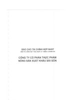 Báo cáo tài chính hợp nhất năm 2014 (đã kiểm toán) - Công ty cổ phần Thực phẩm Nông sản Xuất khẩu Sài Gòn