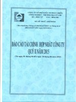 Báo cáo tài chính hợp nhất quý 2 năm 2015 - Công ty Cổ phần Đầu tư Phát triển Công nghiệp - Thương mại Củ Chi