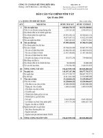 Báo cáo tài chính quý 2 năm 2010 - Công ty Cổ phần Bê tông Biên Hòa