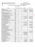 Báo cáo tài chính quý 4 năm 2015 - Công ty Cổ phần Khoáng sản Vinas A Lưới