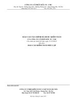 Báo cáo tài chính năm 2010 (đã kiểm toán) - Công ty Cổ phần Đầu tư CMC