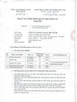 Báo cáo tình hình quản trị công ty - Công ty Cổ phần Cao su Bến Thành
