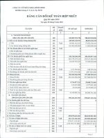 Báo cáo tài chính hợp nhất quý 3 năm 2012 - Công ty Cổ phần Nhựa Bình Minh