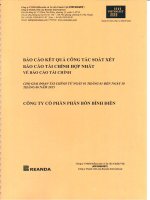Báo cáo tài chính hợp nhất quý 2 năm 2015 (đã soát xét) - Công ty cổ phần Phân bón Bình Điền