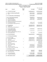 Báo cáo tài chính năm 2009 (đã kiểm toán) - Công ty cổ phần Xi măng Vicem Bút Sơn