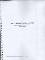 Báo cáo tài chính hợp nhất năm 2011 (đã kiểm toán) - Công ty Cổ phần Chiếu xạ An Phú