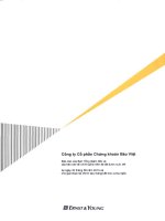 Báo cáo tài chính quý 2 năm 2013 (đã soát xét) - Công ty Cổ phần Chứng khoán Bảo Việt