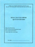 Báo cáo tài chính quý 2 năm 2015 - Công ty Cổ phần Khoáng sản Bắc Kạn