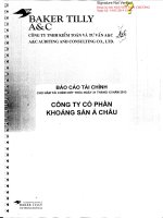 Báo cáo tài chính năm 2013 (đã kiểm toán) - Công ty cổ phần Khoáng sản Á Châu