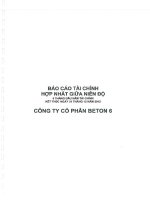 Báo cáo tài chính hợp nhất quý 2 năm 2012 (đã soát xét) - Công ty Cổ phần Beton 6