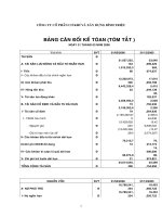 Báo cáo tài chính quý 1 năm 2006 - Công ty Cổ phần Cơ khí và Xây dựng Bình Triệu