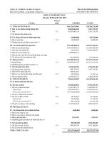 Báo cáo tài chính quý 2 năm 2010 - Công ty Cổ phần Cà phê An Giang