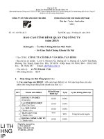 Báo cáo tình hình quản trị công ty - Công ty Cổ phần Văn hóa Tân Bình