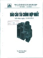 Báo cáo tài chính hợp nhất quý 1 năm 2013 - Công ty Cổ phần Đầu tư Xây dựng Bình Chánh