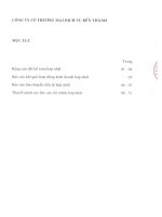 Báo cáo tài chính hợp nhất quý 1 năm 2013 - Công ty Cổ phần Thương mại - Dịch vụ Bến Thành