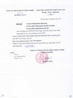 Báo cáo thường niên năm 2010 - Công ty Cổ phần Chứng khoán Nông nghiệp và Phát triển Nông thôn