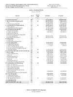 Báo cáo tài chính quý 1 năm 2012 - Công ty Cổ phần Chứng khoán Châu Á – Thái Bình Dương