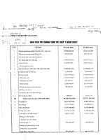 Báo cáo tài chính quý 1 năm 2007 - Công ty Cổ phần Viglacera Bá Hiến