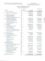 Báo cáo tài chính quý 3 năm 2015 - Công ty cổ phần Xuất nhập khẩu An Giang