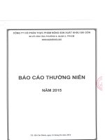 Báo cáo thường niên năm 2015 - Công ty cổ phần Thực phẩm Nông sản Xuất khẩu Sài Gòn