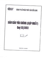 Báo cáo tài chính hợp nhất quý 3 năm 2013 - Công ty Cổ phần Thủy Sản Cửu Long