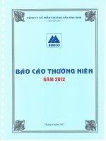 Báo cáo thường niên năm 2012 - Công ty cổ phần Khoáng sản Bình Định
