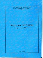 Báo cáo tài chính quý 4 năm 2015 - CTCP Cảng Chân Mây