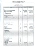 Báo cáo tài chính công ty mẹ quý 4 năm 2012 - Công ty Cổ phần Đầu tư Alphanam