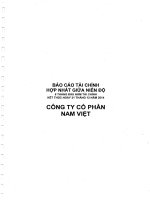 Báo cáo tài chính hợp nhất quý 2 năm 2014 (đã soát xét) - Công ty Cổ phần Nam Việt