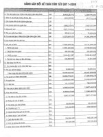 Báo cáo tài chính quý 1 năm 2008 - Công ty Cổ phần Viglacera Bá Hiến