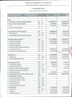 Báo cáo tài chính công ty mẹ quý 3 năm 2012 - Công ty Cổ phần Đầu tư Alphanam