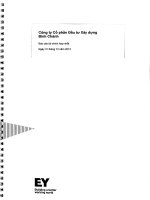 Báo cáo tài chính hợp nhất năm 2013 (đã kiểm toán) - Công ty Cổ phần Đầu tư Xây dựng Bình Chánh