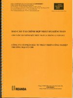 Báo cáo tài chính hợp nhất năm 2012 (đã kiểm toán) - Công ty Cổ phần Đầu tư Phát triển Công nghiệp - Thương mại Củ Chi