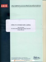 Báo cáo tài chính năm 2014 (đã kiểm toán) - Công ty Cổ phần Sơn Á Đông