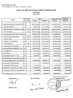 Báo cáo tài chính hợp nhất quý 2 năm 2014 - Công ty Cổ phần Nam Việt