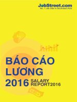 Báo cáo lương theo từng ngành nghề năm 2016