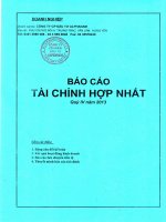 Báo cáo tài chính hợp nhất quý 4 năm 2013 - Công ty Cổ phần Đầu tư Alphanam