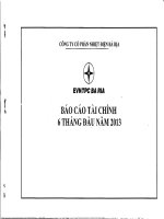 Báo cáo tài chính quý 2 năm 2013 - Công ty Cổ phần Nhiệt điện Bà Rịa