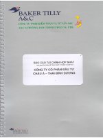 Báo cáo tài chính hợp nhất năm 2014 (đã kiểm toán) - Công ty Cổ phần Đầu tư Châu Á - Thái Bình Dương