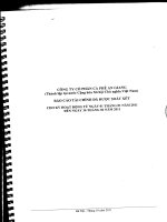 Báo cáo tài chính quý 2 năm 2011 (đã soát xét) - Công ty Cổ phần Cà phê An Giang