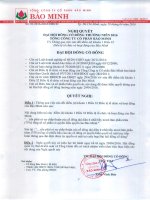 Nghị quyết Đại hội cổ đông thường niên - Tổng Công ty Cổ phần Bảo Minh