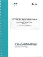 Báo cáo tài chính hợp nhất năm 2012 (đã kiểm toán) - Công ty Cổ phần Xây dựng 47