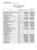 Báo cáo tài chính hợp nhất quý 4 năm 2013 - Công ty Cổ phần Nam Việt