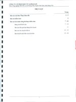 Báo cáo tài chính công ty mẹ năm 2012 (đã kiểm toán) - Công ty Cổ phần Đầu tư Alphanam