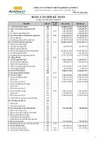 Báo cáo tài chính quý 1 năm 2012 - Công ty Cổ phần Chứng khoán An Phát