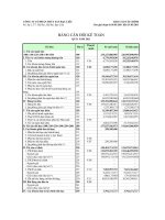 Báo cáo tài chính quý 1 năm 2011 - Công ty Cổ phần Thủy sản Bạc Liêu