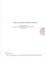 Báo cáo tài chính công ty mẹ năm 2015 (đã kiểm toán) - Công ty Cổ phần Tập đoàn Sao Mai