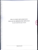 Báo cáo tài chính năm 2013 (đã kiểm toán) - Công ty Cổ phần Chứng khoán BETA